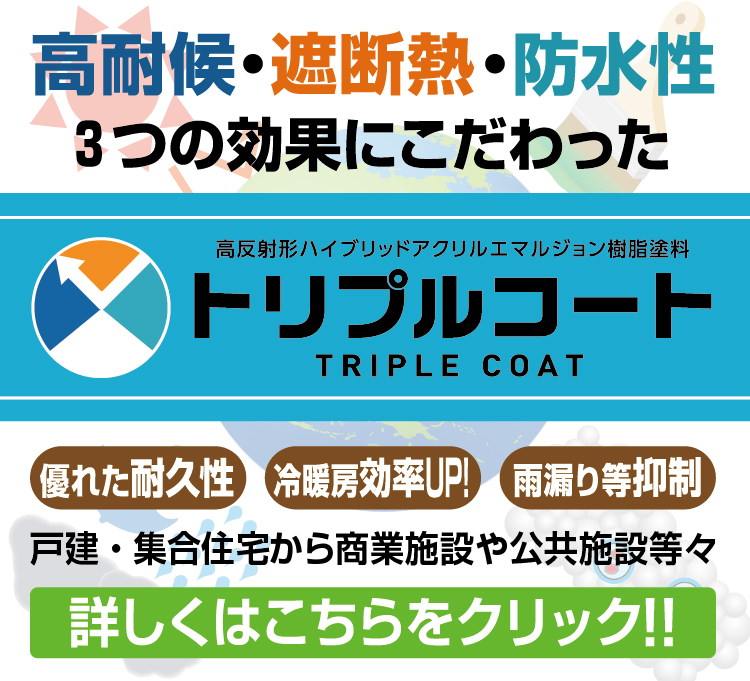 トリプルコート
